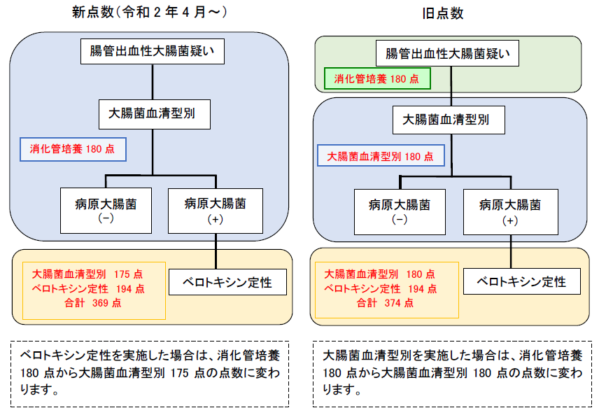 腸管病原菌検査の 保険点数について_2020-37| 広島市医師会臨床検査 